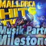 Musik Partner Milestones 2014